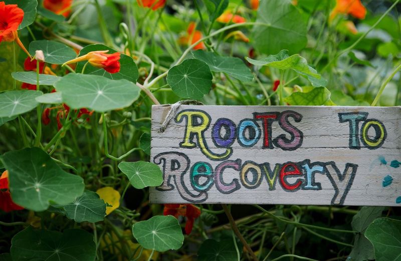 Roots to recovery